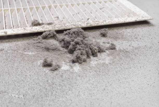 Best Affordable Duct Cleaning Services  in Manistee, MI