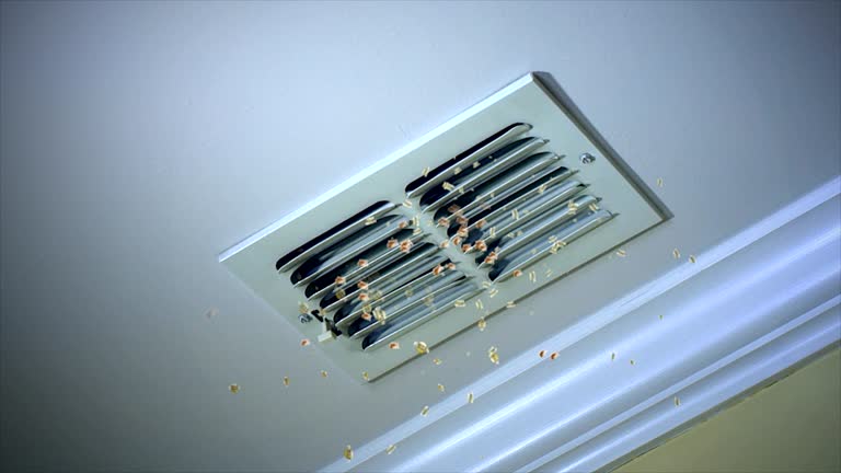Best Air Duct Cleaning Company Near Me  in Manistee, MI