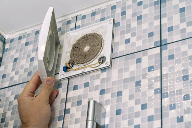 Best Professional Duct Cleaning Services  in Manistee, MI