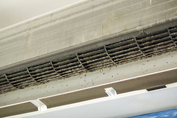Best Affordable Air Duct Cleaning  in Manistee, MI