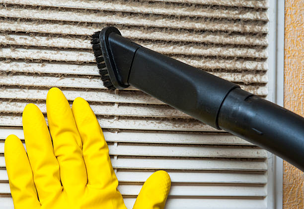 Best Commercial Air Duct Cleaning  in Manistee, MI
